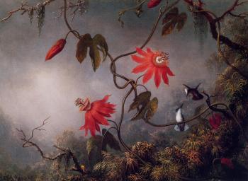 馬丁 約翰遜 赫德 Passion Flowers and Hummingbirds